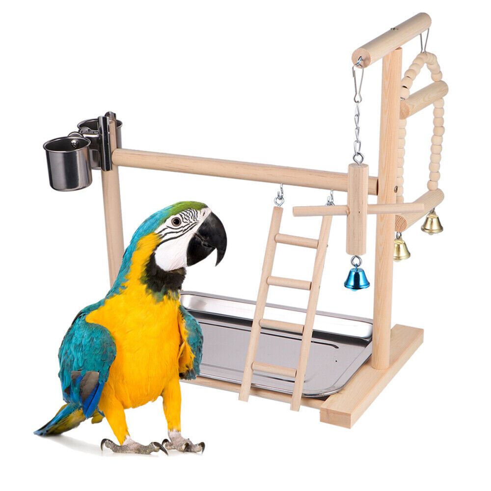 Wood Perch Bird Play Stand Cockatiel Playground Gym Toys Parrot