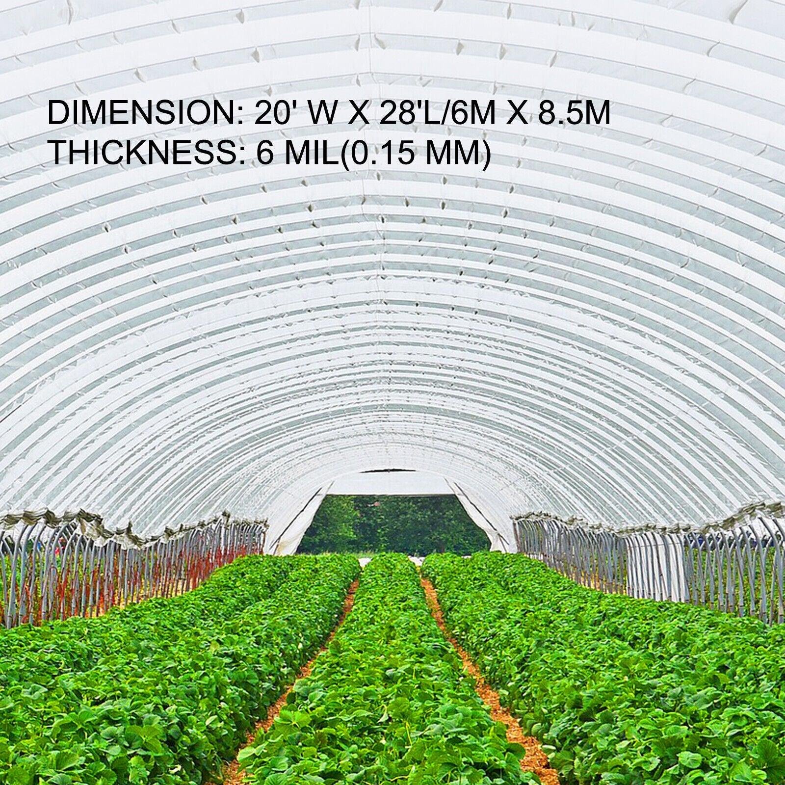 6m x 8.5m x 0.15mm Greenhouse Film Greenhouse Polyethylene Film Plastic Cover Garden
