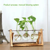 Wooden Stand Desktop Glass Vases Plant Pot
