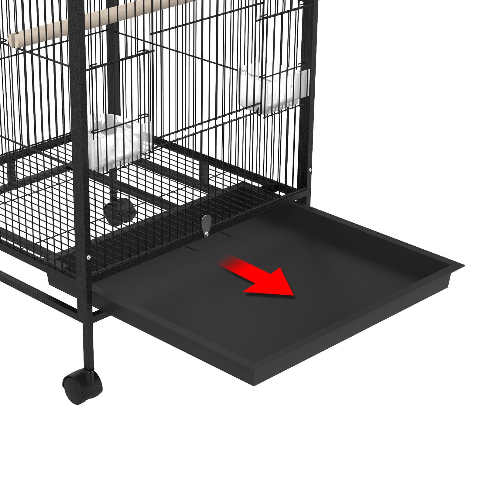 Stunning Parrot Wheel Attachment Sizes For Big Cage image