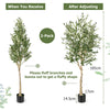 2-Pack 1.85M Artificial Olive Tree Tall Faux Potted Olive Plants