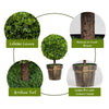 Load image into Gallery viewer, 2 Pack - 55cm Potted Artificial Boxwood Topiary Trees Fake Plants AU