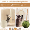 Cat Tree Tower Sisal Scratching Post Pet Condon House Bed Furniture