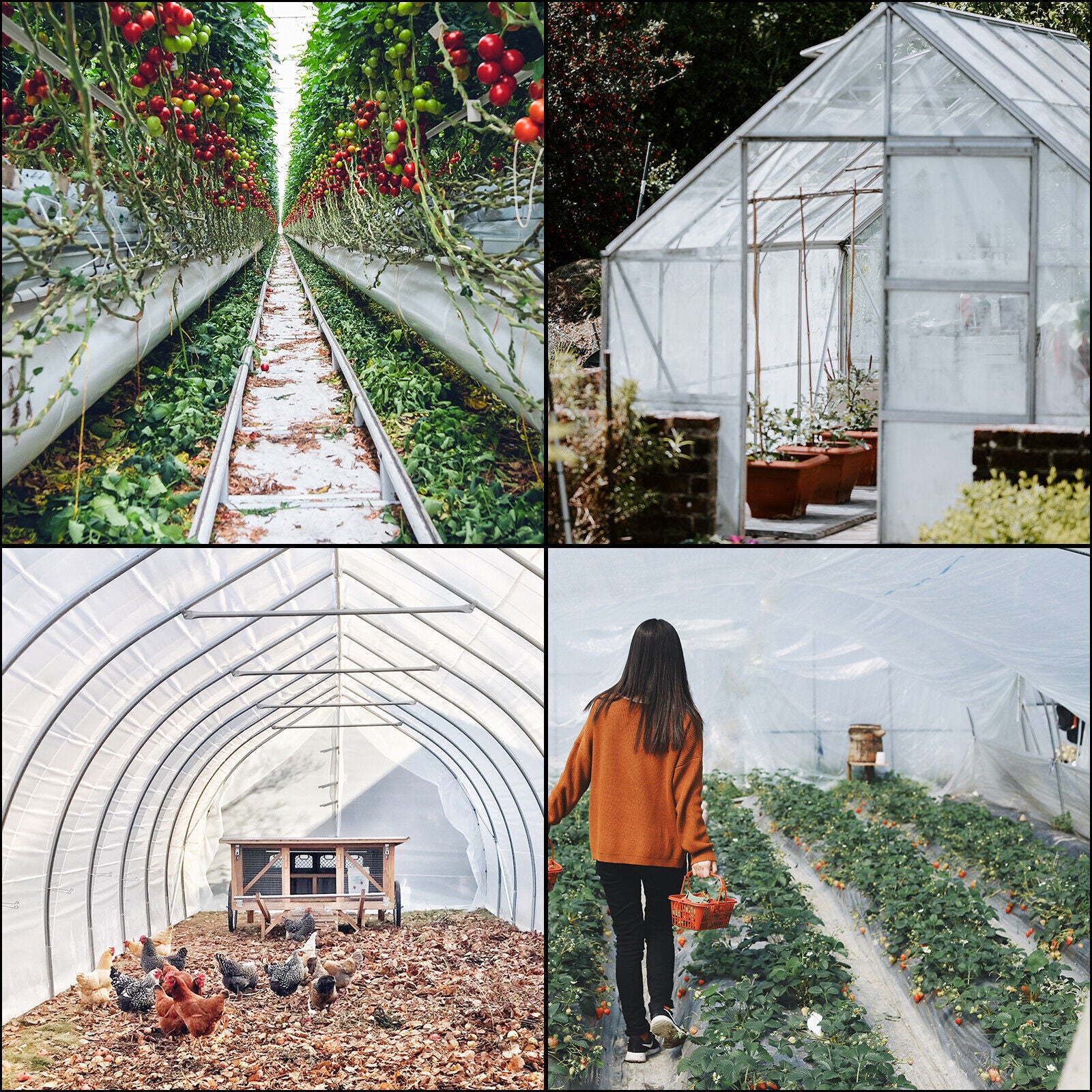 3.6m x 7.6 m x 0.15 mm Greenhouse Film Greenhouse Polyethylene Film Plastic