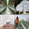 3.6m x 7.6 m x 0.15 mm Greenhouse Film Greenhouse Polyethylene Film Plastic