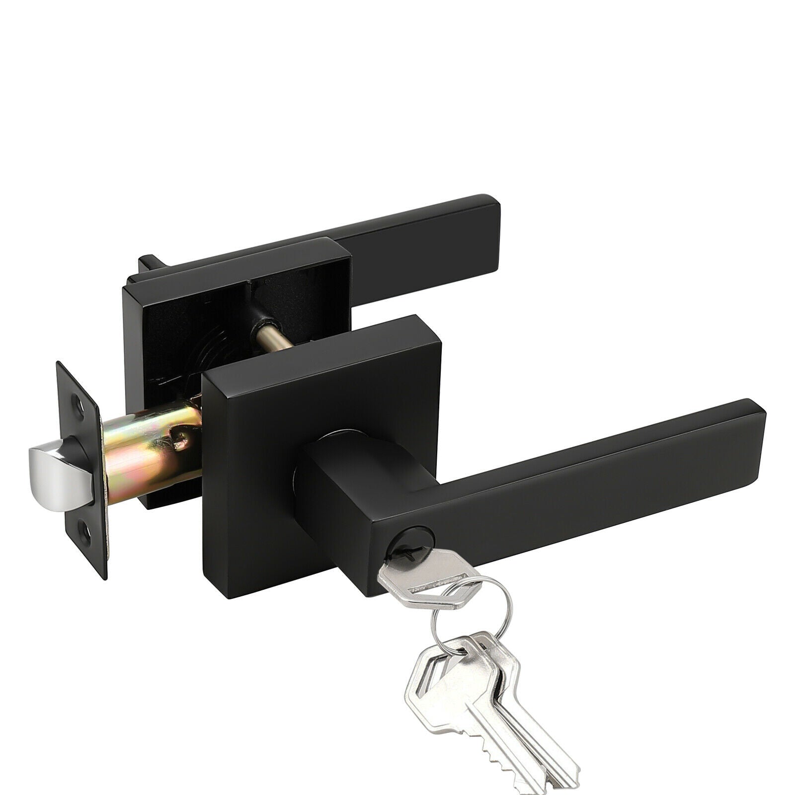 Entrance Knobs with Key Privacy Passage Dummy Door Handle Black