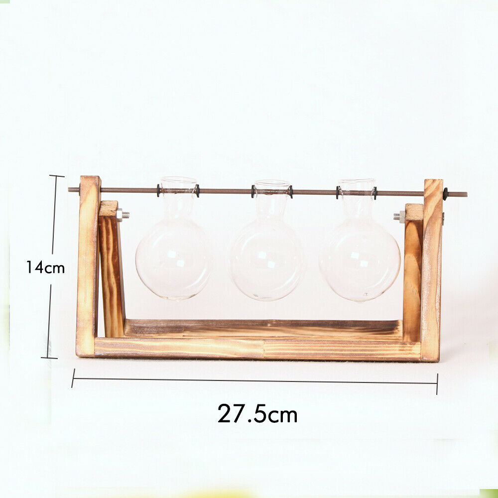 Wooden Stand Desktop Glass Vases Plant Pot