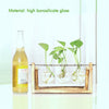 Wooden Stand Desktop Glass Vases Plant Pot