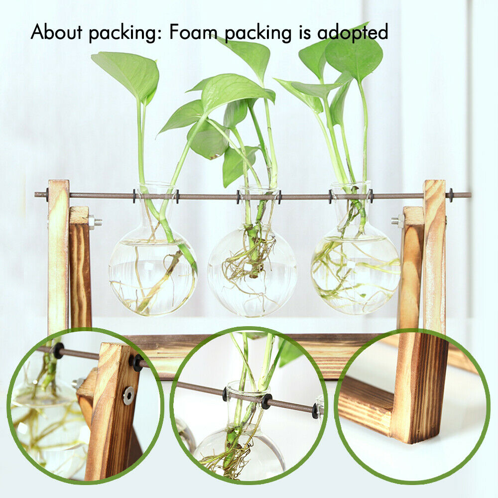 Wooden Stand Desktop Glass Vases Plant Pot