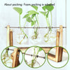 Wooden Stand Desktop Glass Vases Plant Pot