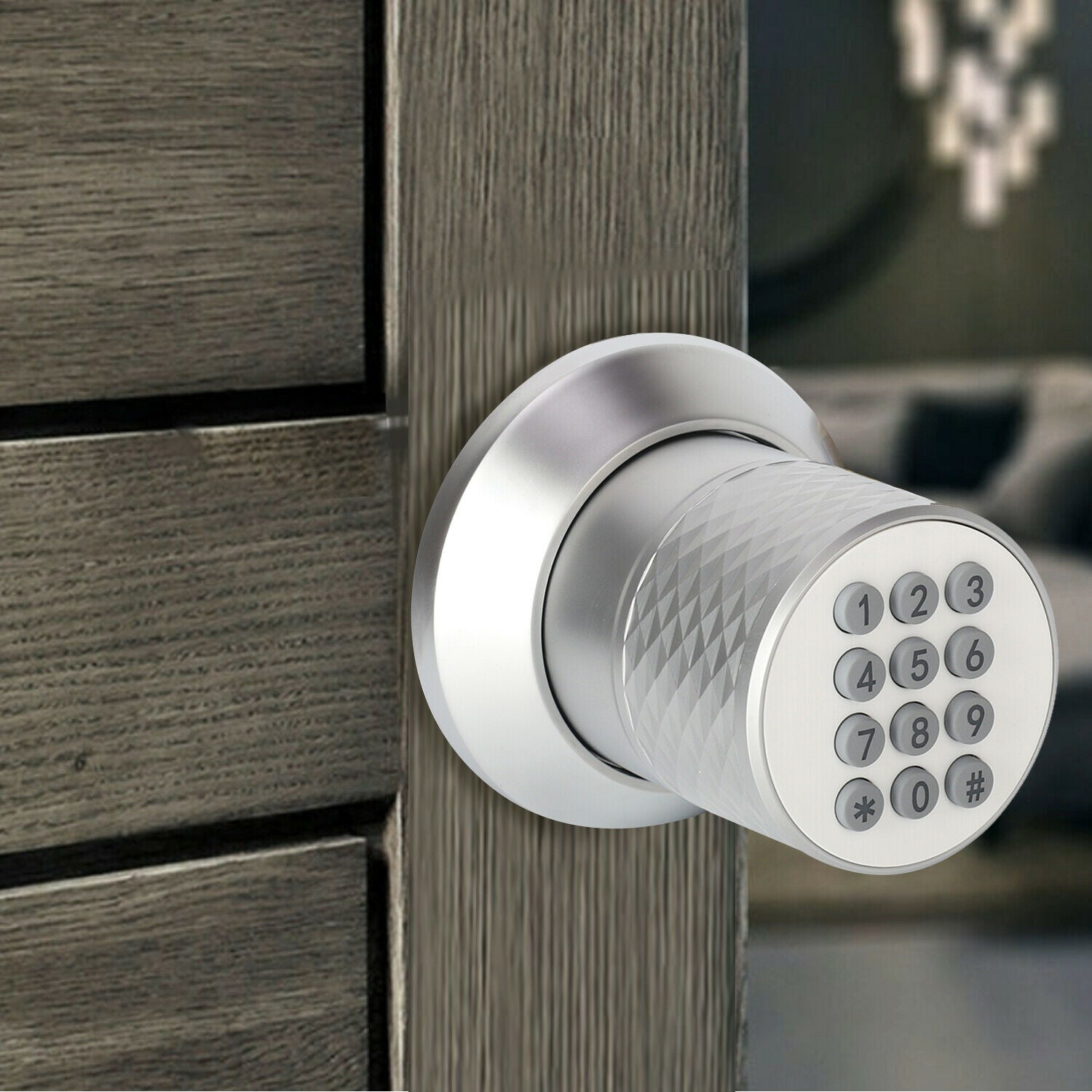 Security Electronic Password Smart Door Lock
